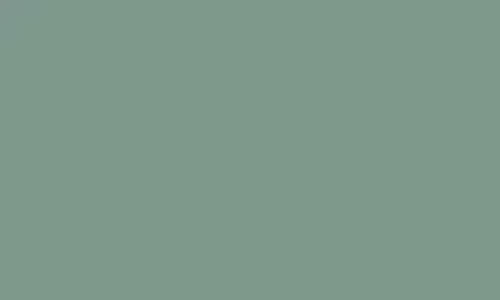 Aceituna-52Recoltex