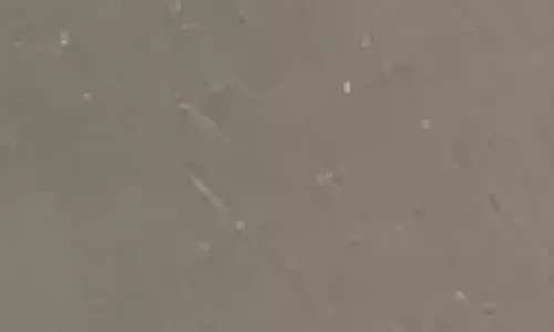 AcorazadoMetallics