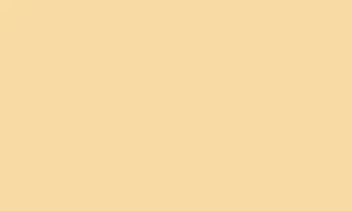 Crema-06Vinicol