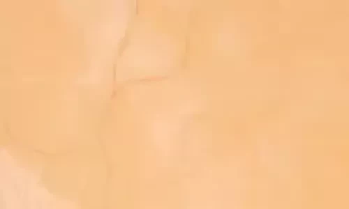 Mandarina-12Veneciano