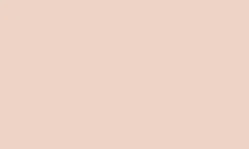 Melocoton-195Recoltex
