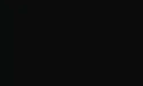 NegroRecolTint