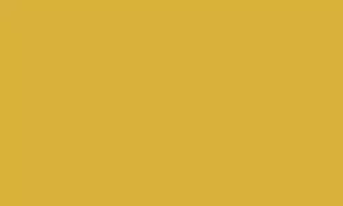 Oro-14Recoltex