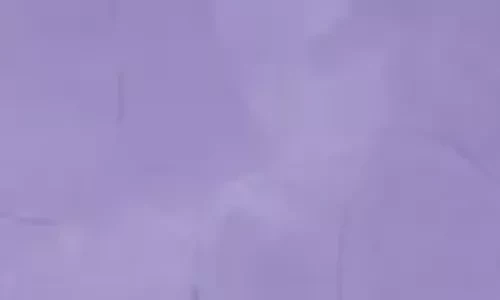 Violeta-74Veneciano